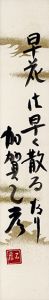 早花は・・・/加賀乙彦