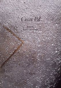 隠崎竜一　Cocco Pd/