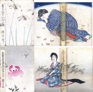 金色夜叉終篇　上下揃/長田幹彦