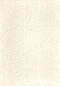 人物画論/フランカステル　天羽均訳