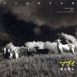 矢口清貴写真集　マブイ　魂は廻る/矢口清貴