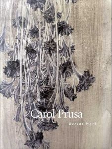 Carol Prusa Recent Work/