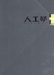 人工夢/高橋綾子文