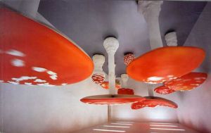 カールステン・フラー　Carsten Holler: Register/Carsten Holler