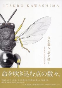 虫を観る、虫を描く 標本画家 川島逸郎の仕事/川島逸郎