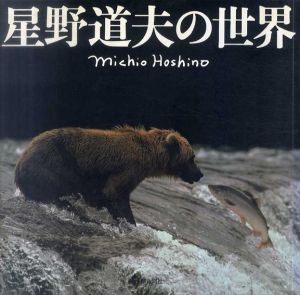 星野道夫の世界/星野道夫　朝日新聞社文化企画局　池澤夏樹解説