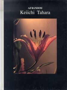 ArT RANDOM 10　Keiichi Tahara　田原桂一/都築響一編