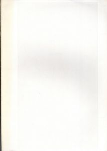 袴田京太朗展　濡れる円錐/