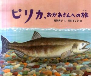 ピリカ、おかあさんへの旅　日本傑作絵本シリーズ/越智典子　沢田としき