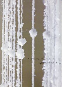 宮永愛子　Beginning of the landscapes : Miyanaga Aiko/