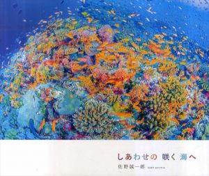 しあわせの咲く海へ/佐野誠一郎