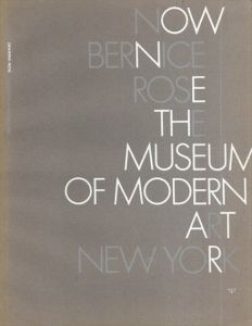 Drawing Now/Bernice Rose