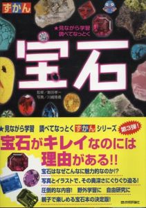ずかん 宝石　見ながら学習　調べてなっとく/飯田孝一/川嶋隆義