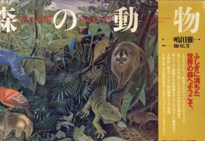 嶋田雅一　森の動物: Wonder Forests/嶋田雅一