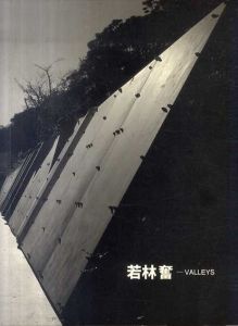 若林奮　Valleys/のサムネール