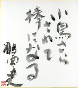 小鳥さら・・・/鶴岡善久のサムネール
