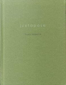 柴田敏雄写真集　Toshio Shibata: juxtapose/Michiko Nakamuraのサムネール