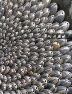 陶による大地の恵みを謳う自然の息吹とかたち　杉浦康益/のサムネール