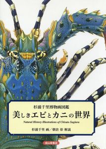 美しきエビとカニの世界 杉浦千里博物画図鑑/杉浦千里