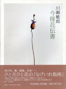 川瀬敏郎今様花伝書/川瀬敏郎