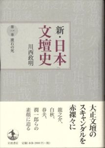 新・日本文壇史　全10巻揃/川西政明