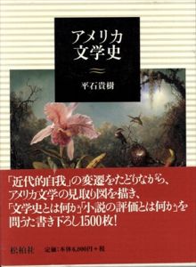 アメリカ文学史/平石貴樹
