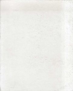 森万里子　Mariko Mori: Oneness/