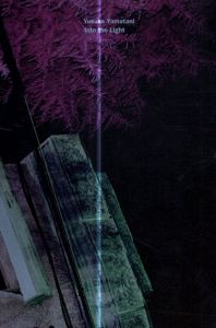 Into the Light/山谷佑介