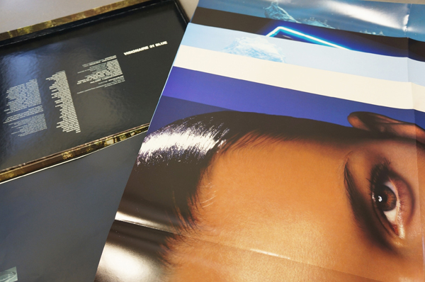 VISIONAIRE 31 BLUE アートブックのみ Visionaire #31: The Blue Issue: Visionaire Publishing