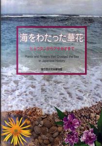 海をわたった華花　ヒョウタンからアサガオまで/