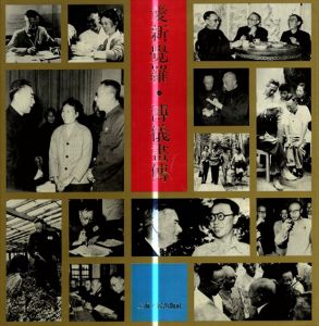 愛新覚羅・溥儀画伝/李淑賢