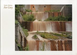 柴田敏雄写真集　Toshio Shibata: For Grey/のサムネール