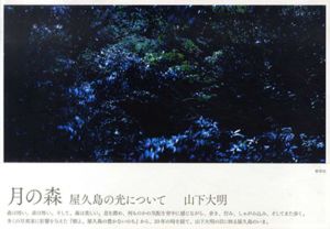 月の森　屋久島の光について/山下大明