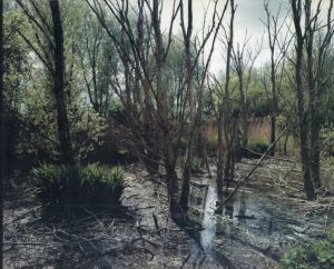 ヴァウト・ベルハー写真集　Wout Berger: Giflandschap/Poisoned landscape/Wout Berger