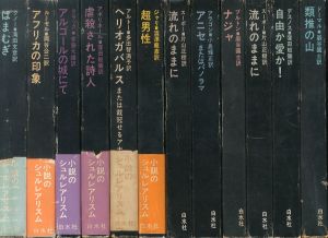 小説のシュルレアリスム　全12冊揃/のサムネール