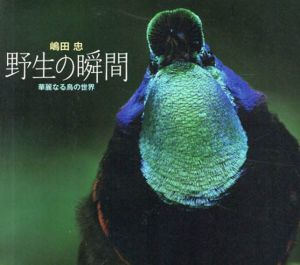 野生の瞬間　華麗なる鳥の世界/嶋田忠