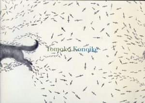 鴻池朋子　Tomoko Konoike/ドミニク・チェンのサムネール