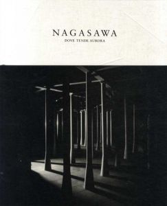 長澤英俊　オーロラの向かう所/長澤英俊展実行委員会編のサムネール