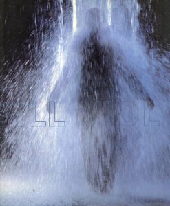 ビル・ヴィオラ展: Bill Viola/David A. Rossのサムネール