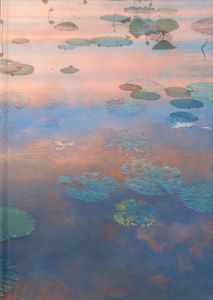 ASIATIC RAES/Yuji Obata