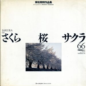 さくら　桜　サクラ66/東松照明　ホームズ・ジュリアン訳のサムネール