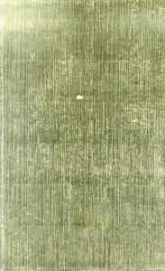 ホルスト・ヤンセン　Horst Janssen: Ballhaus Jahnke Radierungen/ホルスト・ヤンセン