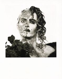 作品/スティーブン・アーノルドのサムネール