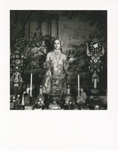 作品/スティーブン・アーノルドのサムネール