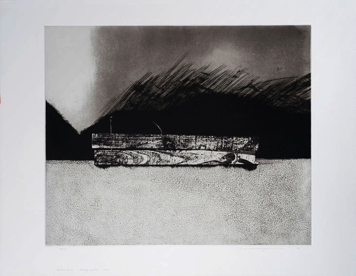 Amazon.co.jp: 真作中林忠良 大判銅版画『Transposition -転位