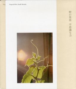 不思議な力/野口里佳