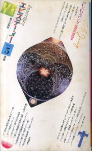 エピステーメー　1977年5月号　特集：C・G・ユング 元型の神話学/C・G・ユング/高橋英夫/マルクス・フィールツ/高橋義孝のサムネール