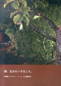 蝉、生まれいずるころ。写真展 ファクター・ノート/勇崎哲史のサムネール