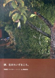蝉、生まれいずるころ。写真展 ファクター・ノート/勇崎哲史