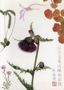 谷川岳高山植物図鑑原画展/のサムネール